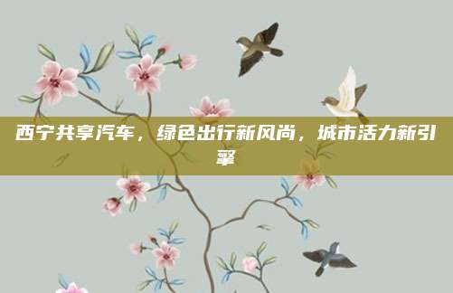 西宁共享汽车,绿色出行新风尚,城市活力新引擎