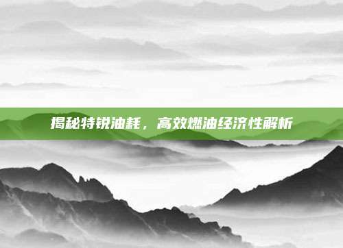 揭秘特锐油耗,高效燃油经济性解析