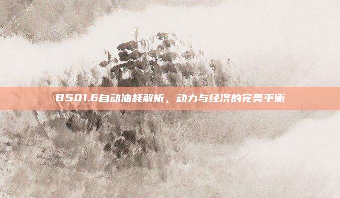 B501.6自动油耗解析,动力与经济的完美平衡