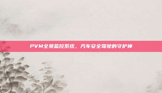 PVM全景监控系统,汽车安全驾驶的守护神