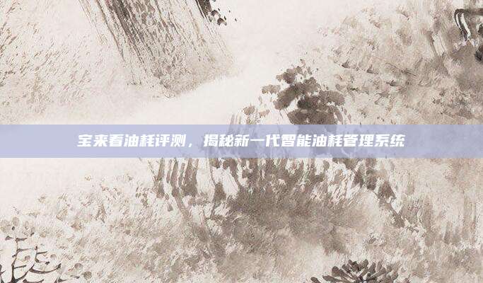 宝来看油耗评测,揭秘新一代智能油耗管理系统