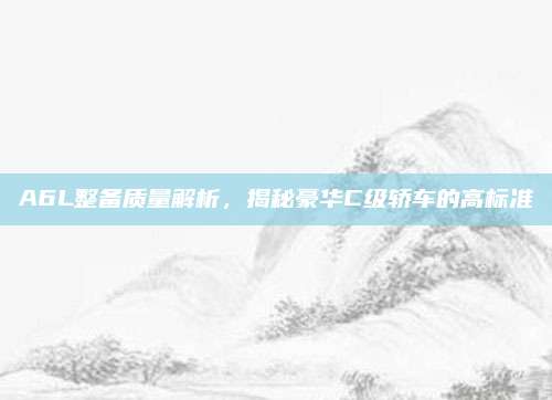 A6L整备质量解析,揭秘豪华C级轿车的高标准
