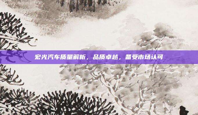 宏光汽车质量解析,品质卓越,备受市场认可
