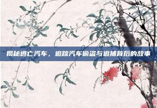 揭秘逃亡汽车,追踪汽车偷盗与追捕背后的故事