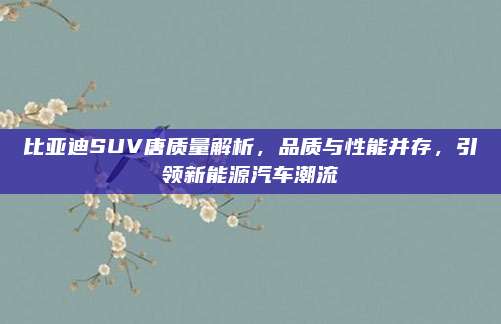 比亚迪SUV唐质量解析，品质与性能并存，引领新能源汽车潮流