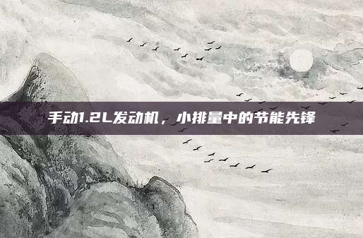 手动1.2L发动机,小排量中的节能先锋