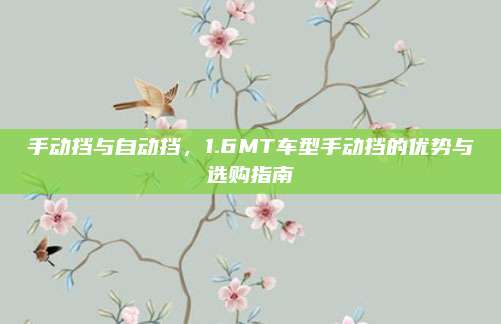 手动挡与自动挡,1.6MT车型手动挡的优势与选购指南