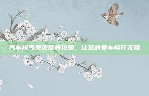 汽车排气系统保养攻略,让您的爱车畅行无阻