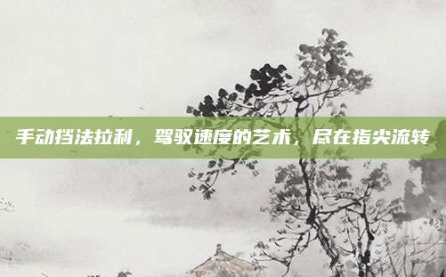 手动挡法拉利,驾驭速度的艺术,尽在指尖流转