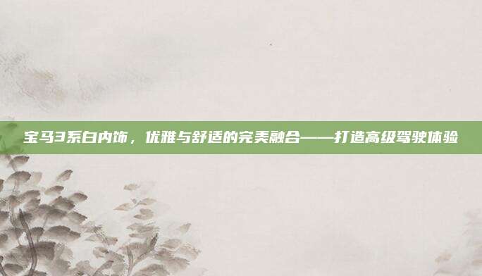 宝马3系白内饰，优雅与舒适的完美融合——打造高级驾驶体验