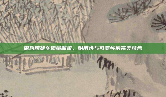 黑豹牌货车质量解析,耐用性与可靠性的完美结合