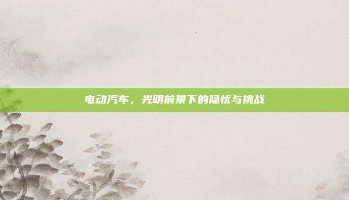 电动汽车，光明前景下的隐忧与挑战