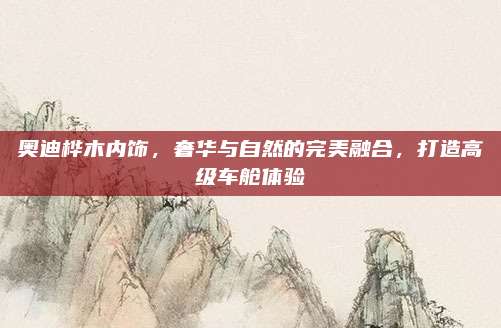 奥迪桦木内饰,奢华与自然的完美融合,打造高级车舱体验