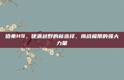 哈弗H9,硬派越野的新选择,挑战极限的强大力量