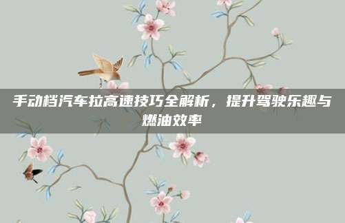 手动档汽车拉高速技巧全解析,提升驾驶乐趣与燃油效率