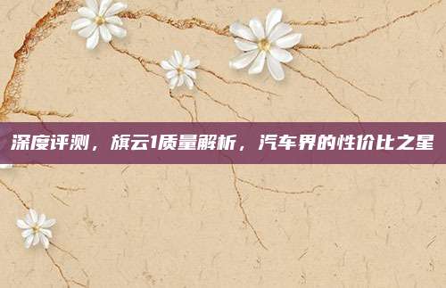深度评测,旗云1质量解析,汽车界的性价比之星