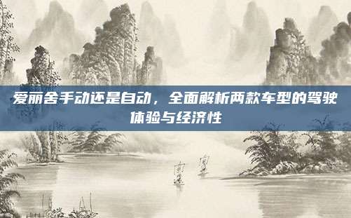 爱丽舍手动还是自动，全面解析两款车型的驾驶体验与经济性