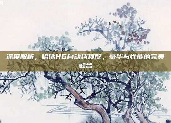 深度解析,哈佛H6自动挡顶配,豪华与性能的完美融合