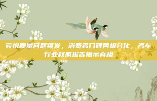 宾悦质量问题频发,消费者口碑两极分化,汽车行业权威报告揭示真相
