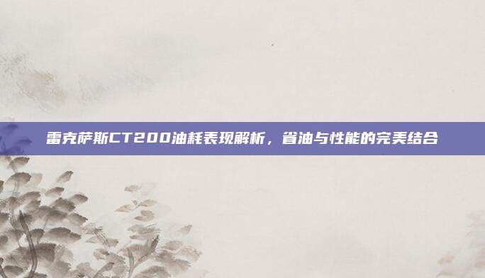 雷克萨斯CT200油耗表现解析,省油与性能的完美结合