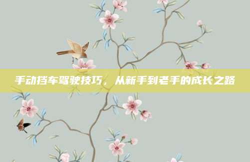 手动挡车驾驶技巧,从新手到老手的成长之路