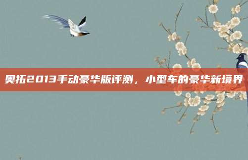奥拓2013手动豪华版评测,小型车的豪华新境界