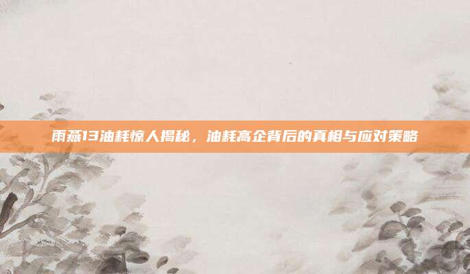 雨燕13油耗惊人揭秘,油耗高企背后的真相与应对策略