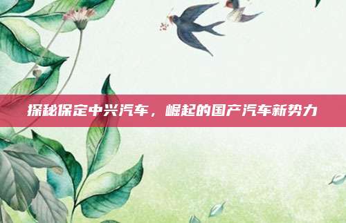 探秘保定中兴汽车，崛起的国产汽车新势力