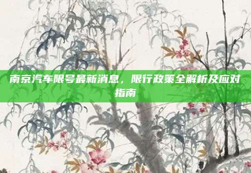 南京汽车限号最新消息,限行政策全解析及应对指南