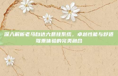 深入解析老马自达六悬挂系统,卓越性能与舒适驾乘体验的完美融合