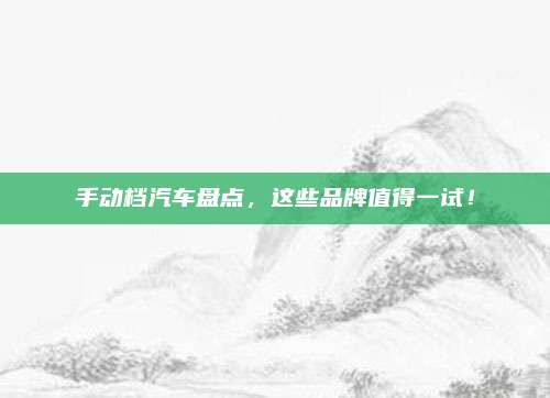手动档汽车盘点,这些品牌值得一试!