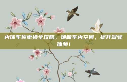内饰车顶更换全攻略,焕新车内空间,提升驾驶体验!