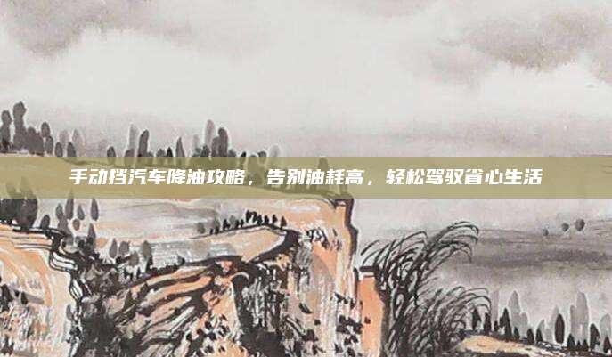 手动挡汽车降油攻略,告别油耗高,轻松驾驭省心生活