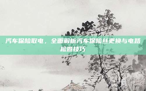 汽车保险取电,全面解析汽车保险丝更换与电路检查技巧