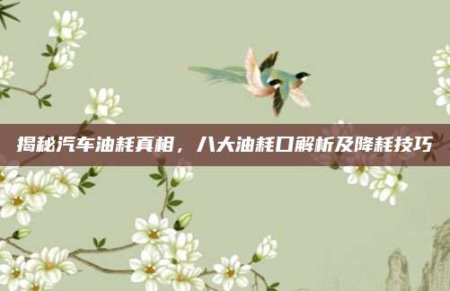 揭秘汽车油耗真相,八大油耗口解析及降耗技巧