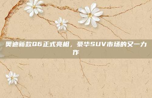 奥迪新款Q6正式亮相,豪华SUV市场的又一力作