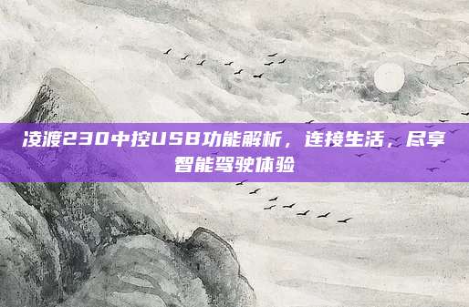 凌渡230中控USB功能解析，连接生活，尽享智能驾驶体验