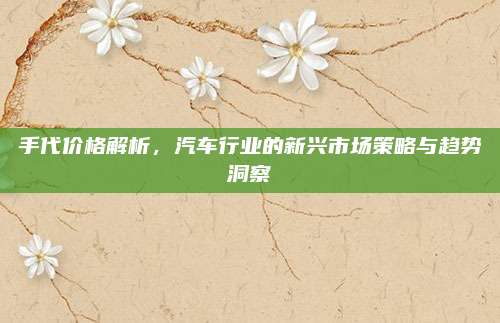 手代价格解析,汽车行业的新兴市场策略与趋势洞察