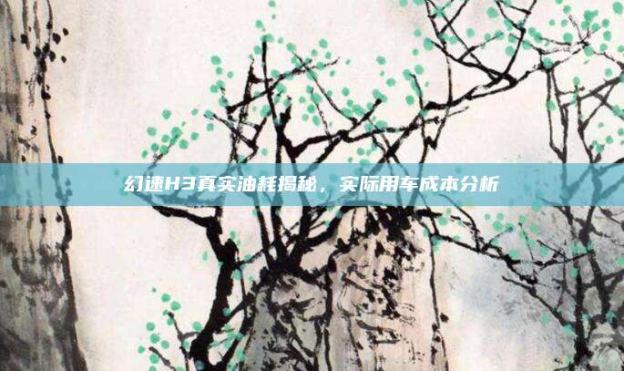 幻速H3真实油耗揭秘，实际用车成本分析