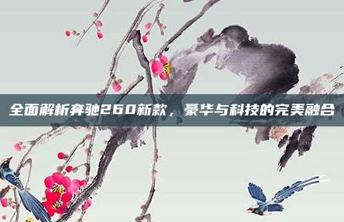 全面解析奔驰260新款,豪华与科技的完美融合