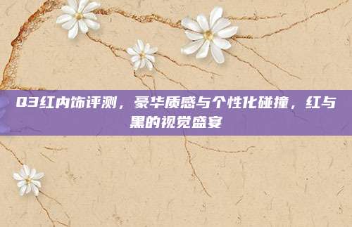 Q3红内饰评测，豪华质感与个性化碰撞，红与黑的视觉盛宴