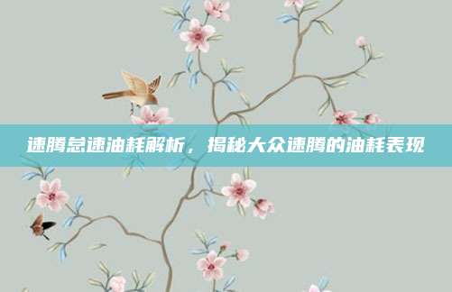 速腾怠速油耗解析,揭秘大众速腾的油耗表现