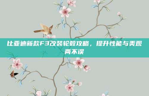 比亚迪新款F3改装轮毂攻略,提升性能与美观两不误