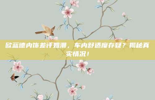 欧蓝德内饰差评如潮,车内舒适度存疑?揭秘真实情况!