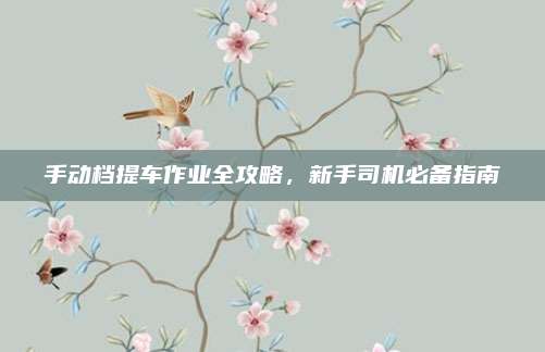 手动档提车作业全攻略，新手司机必备指南