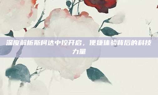 深度解析斯柯达中控开启,便捷体验背后的科技力量