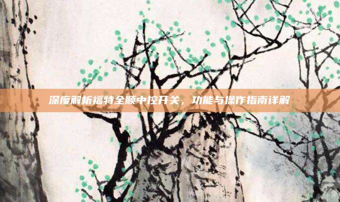 深度解析福特全顺中控开关,功能与操作指南详解