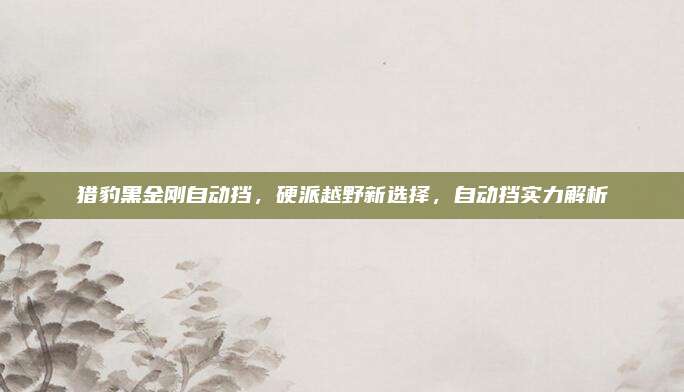 猎豹黑金刚自动挡,硬派越野新选择,自动挡实力解析