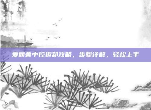 爱丽舍中控拆卸攻略,步骤详解,轻松上手