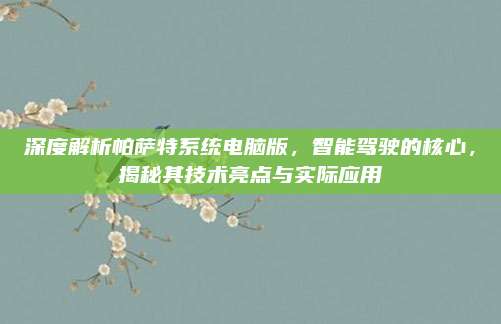 深度解析帕萨特系统电脑版,智能驾驶的核心,揭秘其技术亮点与实际应用